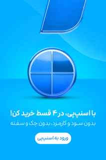 snap pay